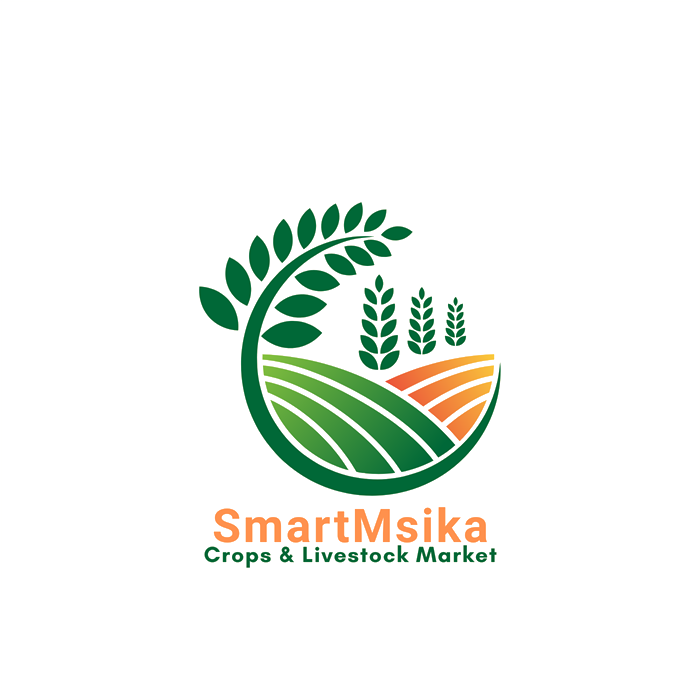 SmartMsika logo